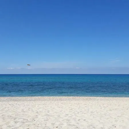 Blue Aura * بارغيليا